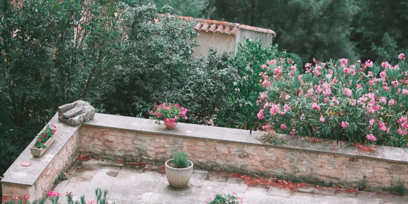 3 fantastiche idee per guadagnare soldi con il giardino