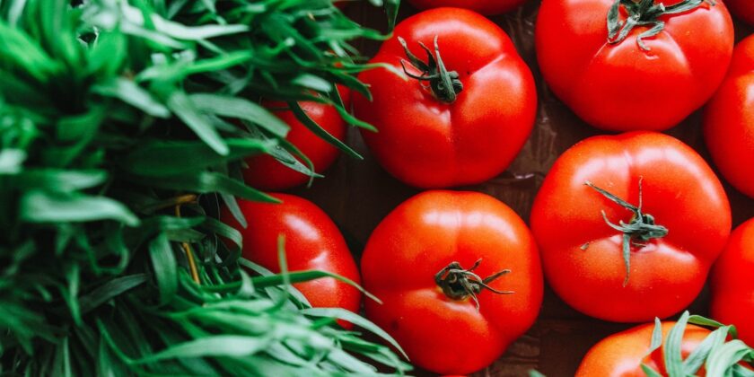 3 idee senza riso per fare i pomodori ripieni