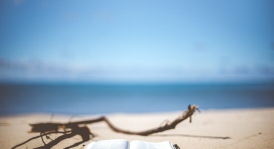 3 libri imperdibili da portare sotto l’ombrellone-proiezionidiborsa.it