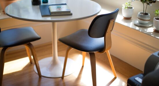 5 piante perfette per un soggiorno in stile moderno-proiezionidiborsa.it