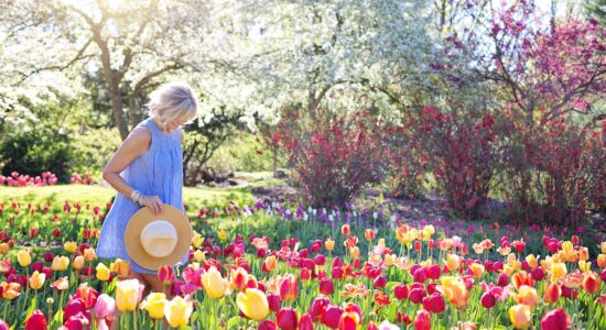 Cascate di fiori per colorare giardini e terrazzi