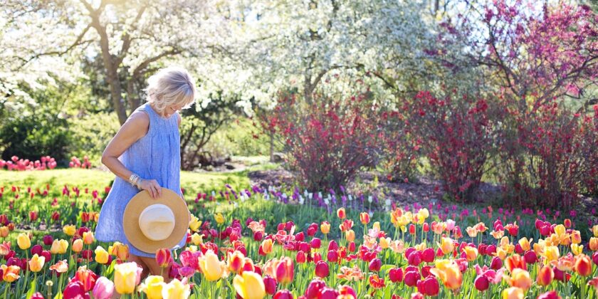 Cascate di fiori per colorare giardini e terrazzi