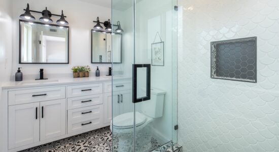 Cattivi odori e puzza di fogna in bagno-proiezionidiborsa.it