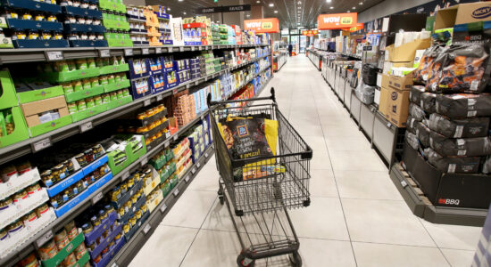 Chi ha dititto al reddito alimentare-proiezionidiborsa.it