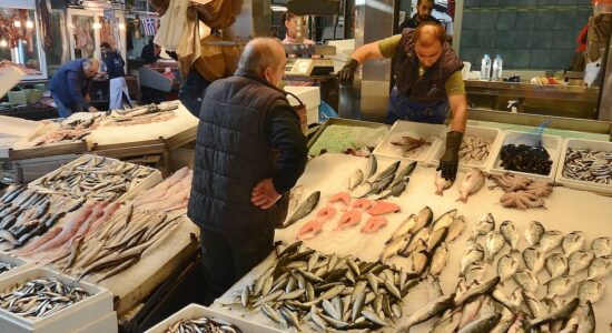 D’estate pochi mangiano questo pesce magro e gustoso