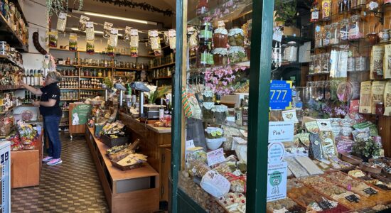 Frutta che gonfia la pancia e fermenta nell’intestino-proiezionidiborsa.it