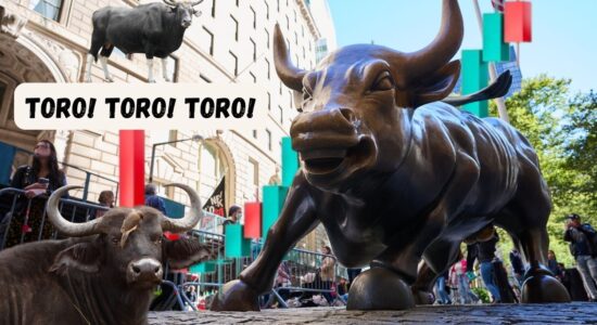 Il Toro dei mercati è fuori dal recinto e ci rimarrà per molti anni-proiezionidiborsa.it