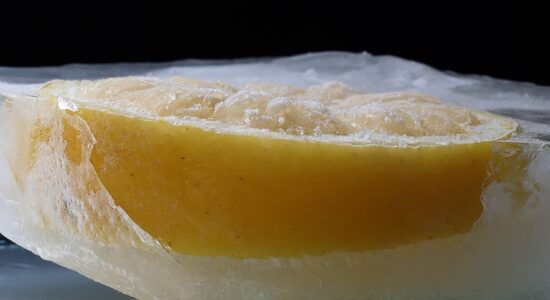 Il dolce più fresco dell'estate senza uova e senza latte-proiezionidiborsa.it