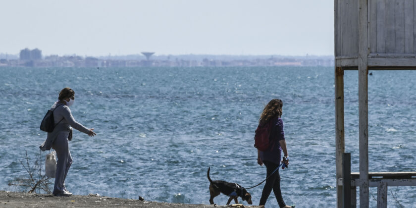 Le spiagge più belle dove andare con i cani-proiezionidiborsa.it