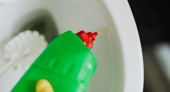 Macchie gialle e calcare nel WC