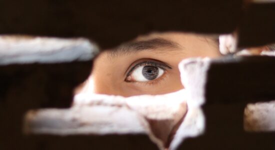Privacy in giardino e balcone-proiezionidiborsa.it