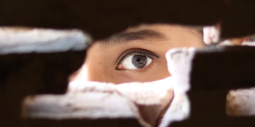 Privacy in giardino e balcone-proiezionidiborsa.it