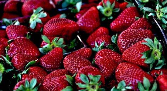 Se le fragole rischiano di marcire-proiezionidiborsa.it
