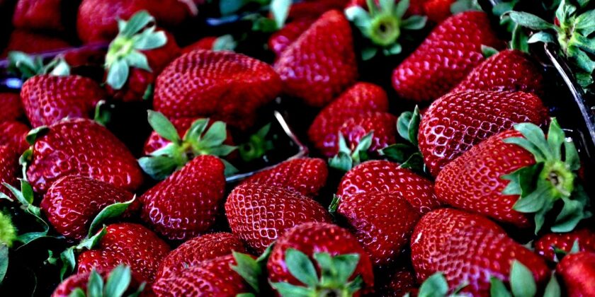 Se le fragole rischiano di marcire-proiezionidiborsa.it