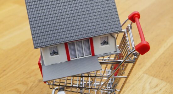 Un appartamento con giardino a 29.000 euro trattabili-proiezionidiborsa.it