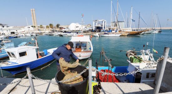 Un pesce talmente squisito-proiezionidiborsa.it