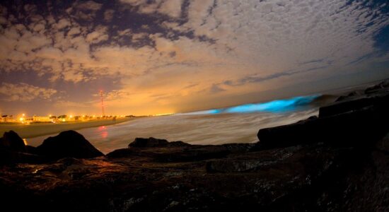 Vacanze memorabili su queste spiagge che si illuminano