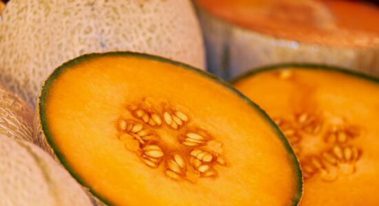 Antipasto al bicchiere con melone-proiezionidiborsa.it