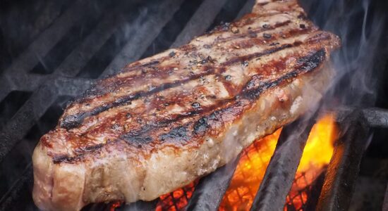 Basta con le mosche e formiche quando si mangia-proiezionidiborsa.it