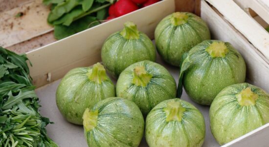 Basta zucchine al forno o in padella