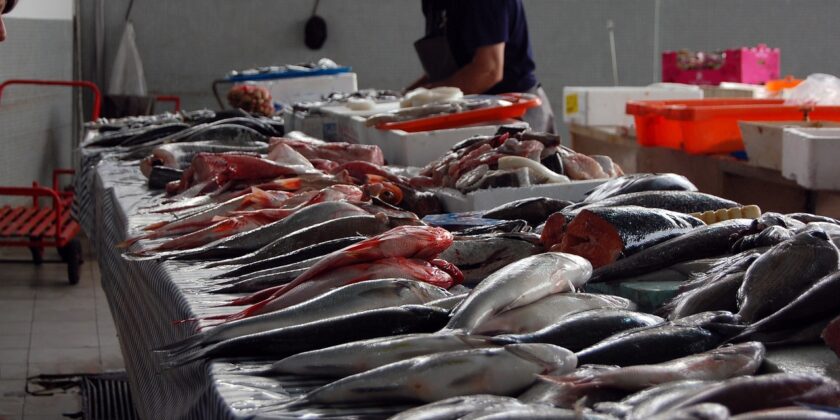 Che differenza c’è tra alici, sardine e acciughe-proiezionidiborsa.it