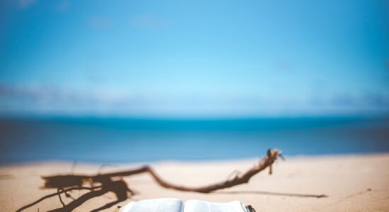 Ci terranno incollati alle pagine questi 3 libri da leggere in spiaggia-proiezionidiborsa.it