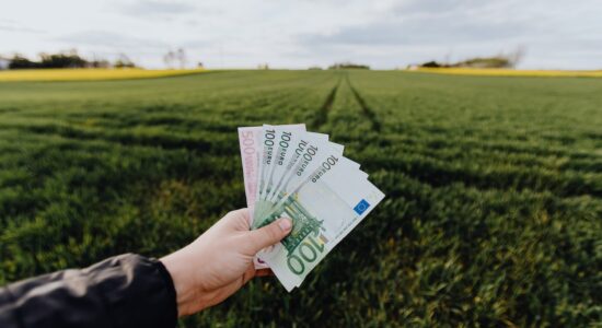 Come arrivare a prendere 700,18 euro di pensione minima-proiezionidiborsa.it