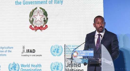 Etiopia è in marcia di avvicinamento verso il gruppo Brics-Abiy Ahmed Ministro Etiopia-proiezionidiborsa.it