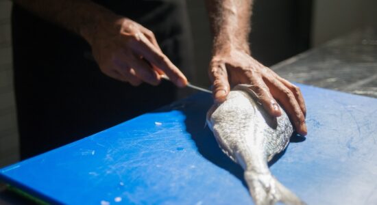 Gli scarti del pesce che buttiamo e che fanno bene
