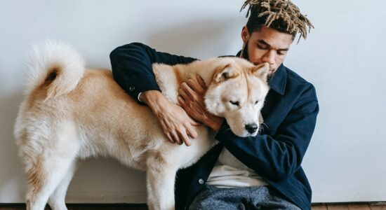 Queste 2 razze di cane sono perfette per la guardia