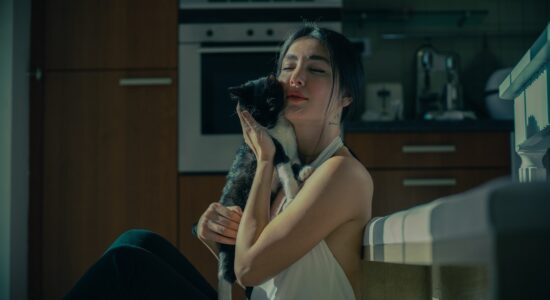 Razze di gatti che amano il loro padrone