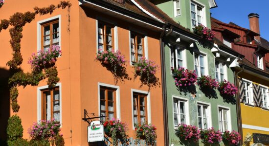 Tutti si gireranno a guardare il tuo balcone fiorito