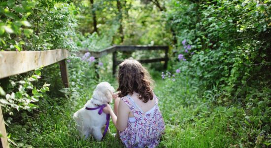 Abbellire un giardino con 5 idee-Foto da pixabay.com