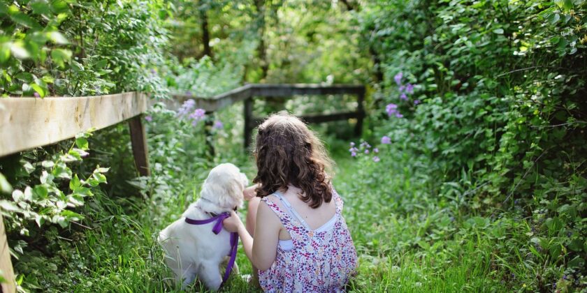 Abbellire un giardino con 5 idee-Foto da pixabay.com