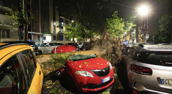 Alberi caduti sulle auto-Foto da imagoeconomica