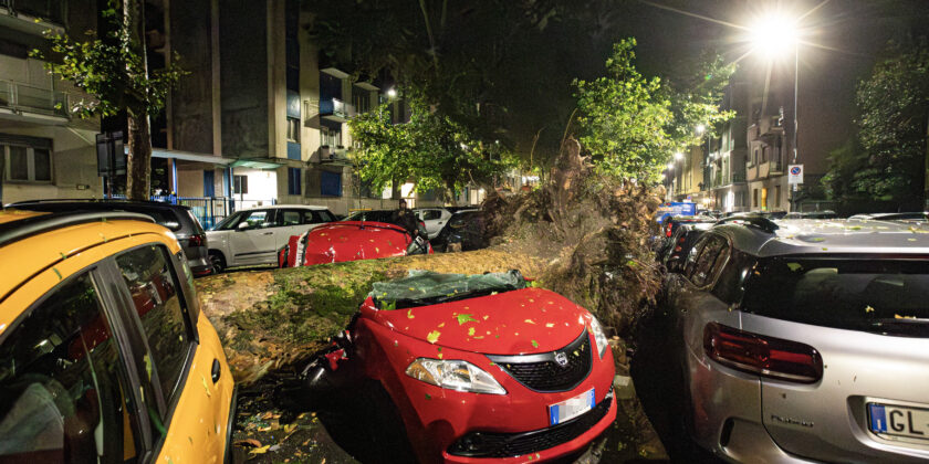 Alberi caduti sulle auto-Foto da imagoeconomica