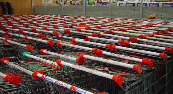 Carrello della spesa-proiezionidiborsa.it