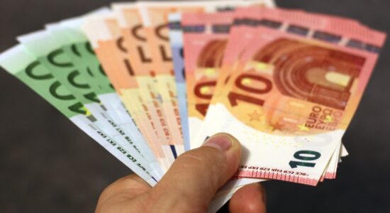 Come si potrebbe guadagnare