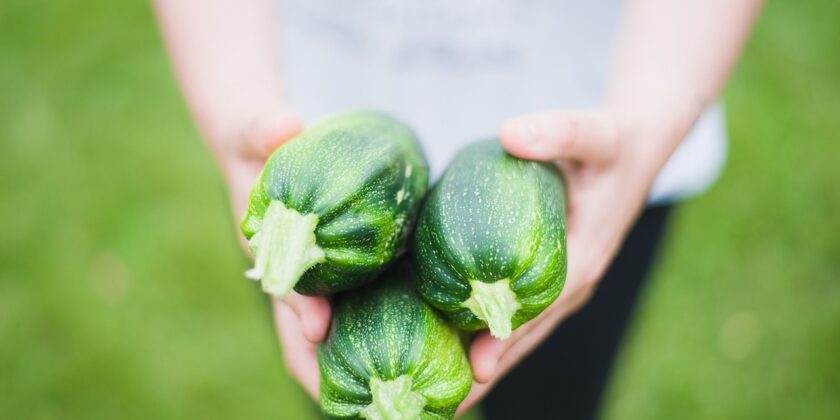Costo delle zucchine-Foto da pixabay.com