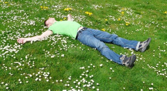 Dormire in giardino sotto le stelle-proiezionidiborsa.it