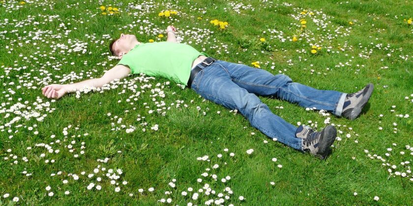 Dormire in giardino sotto le stelle-proiezionidiborsa.it