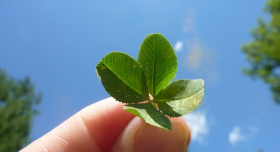 Fortuna durante l'estate per 3 segni zodiacali-Foto da pixabay.com