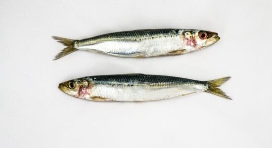 Grigliata di sardine-Foto da pixabay.com