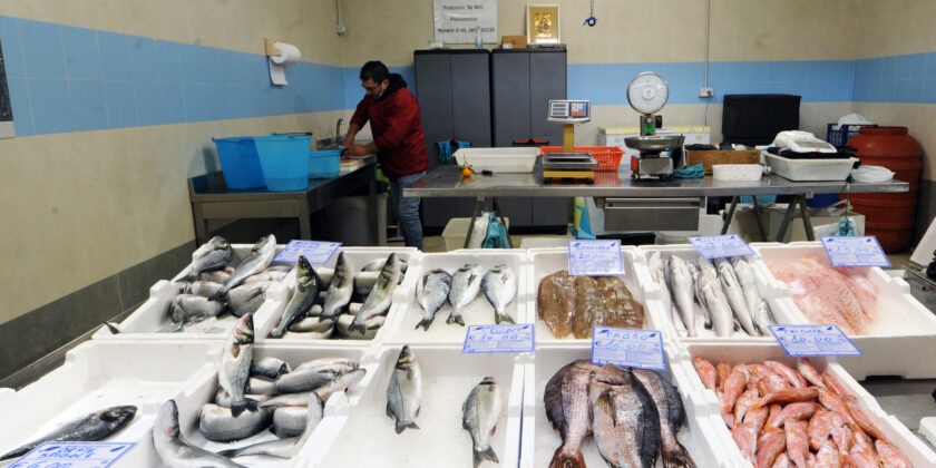 I tre pesci richiestissimi e che costano pochissimo-Foto da imagoeconomica