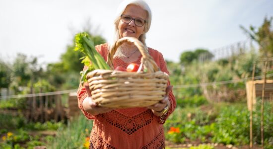 Il segreto di un orto bello e rigoglioso