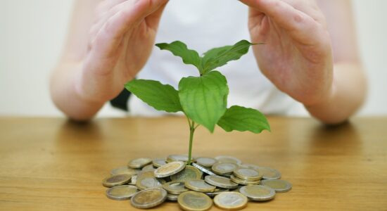 Investire in BTP-Foto da pixabay.com