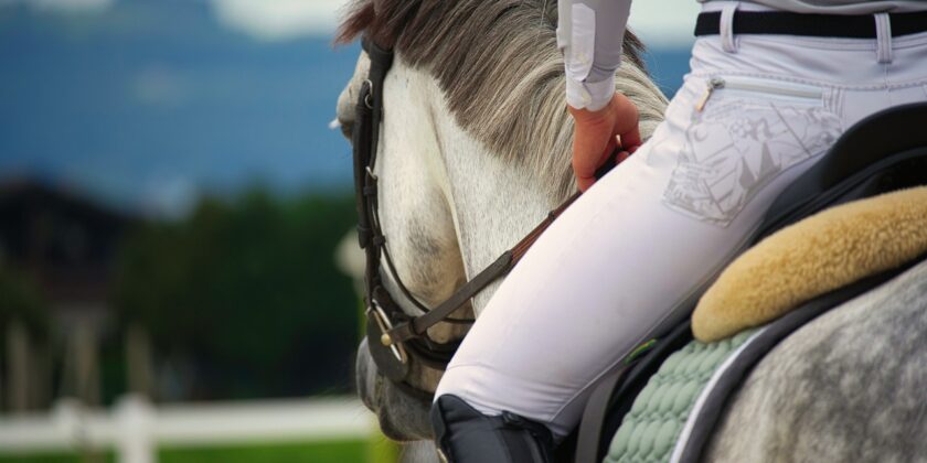 Le agevolazioni del Fisco per chi va a cavallo-proiezionidiborsa.it