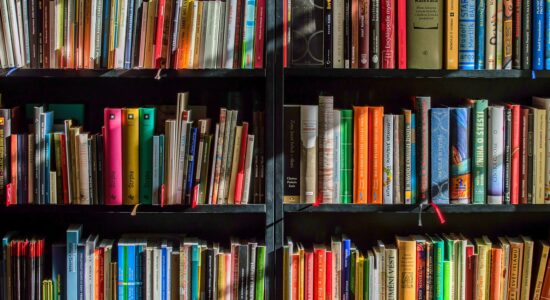 Libri che potrebbero valere una fortuna-proiezionidiborsa.it