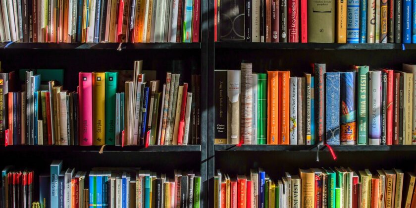 Libri che potrebbero valere una fortuna-proiezionidiborsa.it