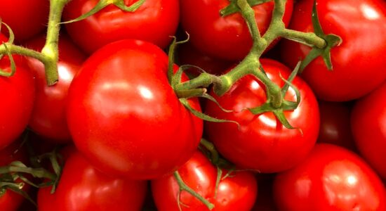 L'insalata delle nonne siciliane è la più buona e fresca dell'estate